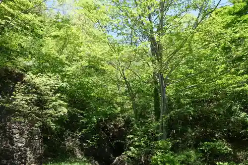 戸隠神社奥社の建物その他