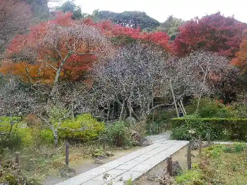 瑞泉寺の庭園