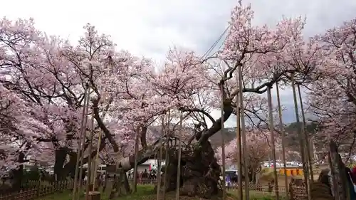 実相寺の庭園