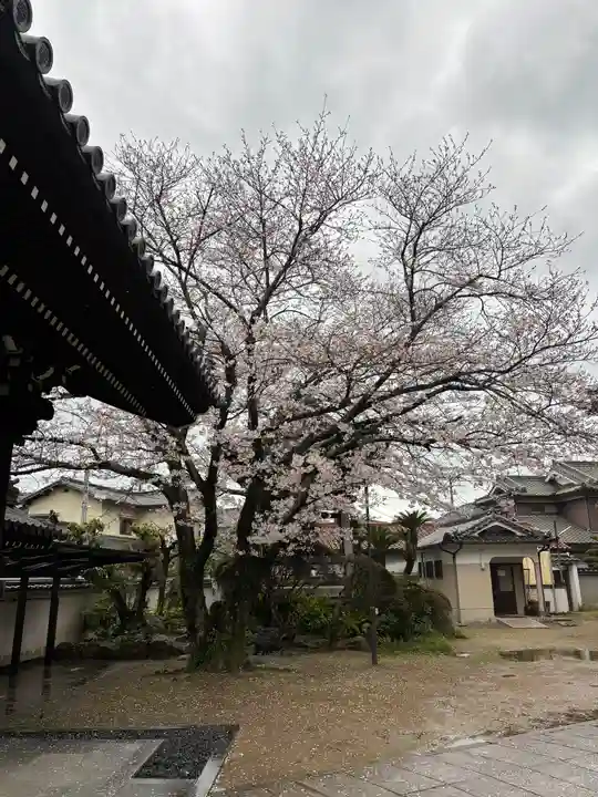 誓福寺(兵庫県)