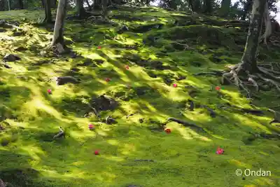 城南宮(京都府)