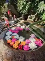 東京羽田 穴守稲荷神社(東京都)