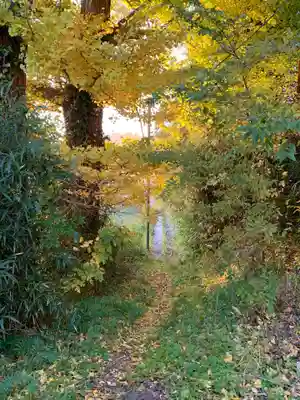 荒沢神社(千葉県)