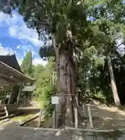 加茂神社(福井県)