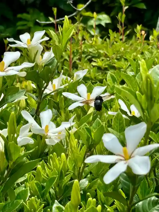 勧修寺(京都府)