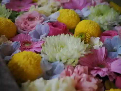 富岡八幡宮(東京都)