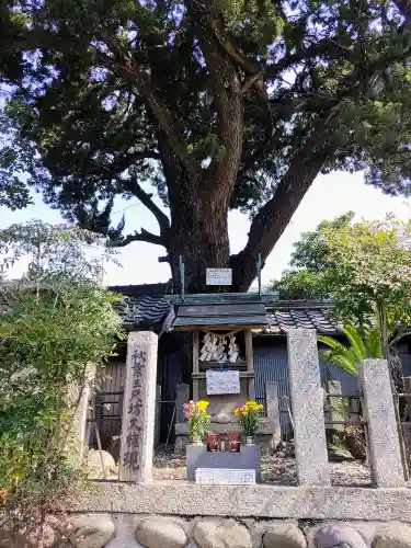 龍蔵寺の末社