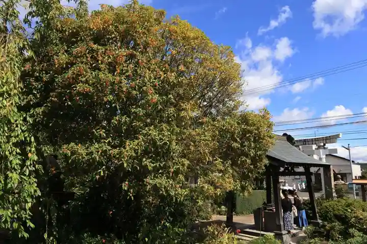 豊景神社の景色
