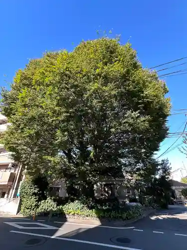 小野神社(東京都)