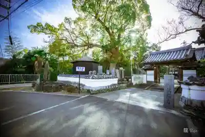 龍光寺(和歌山県)