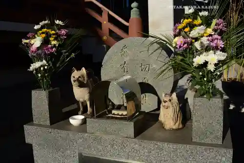 金藏院(神奈川県)