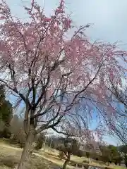 大生郷天満宮の自然