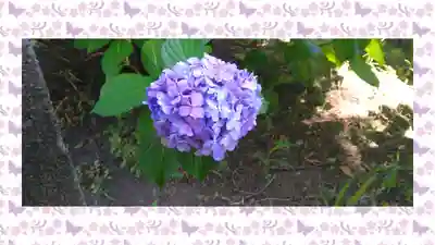 於菊稲荷神社(群馬県)