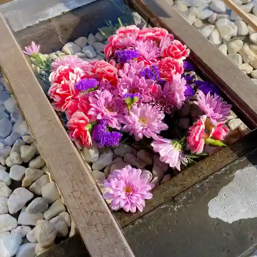根岸八幡神社(神奈川県)
