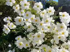 宝幢寺(埼玉県)