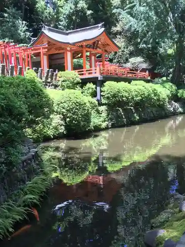 根津神社の庭園