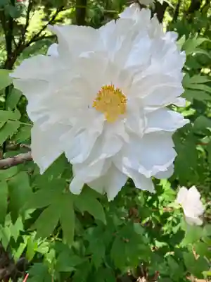 遠照寺(長野県)
