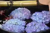 大鏑神社の手水舎