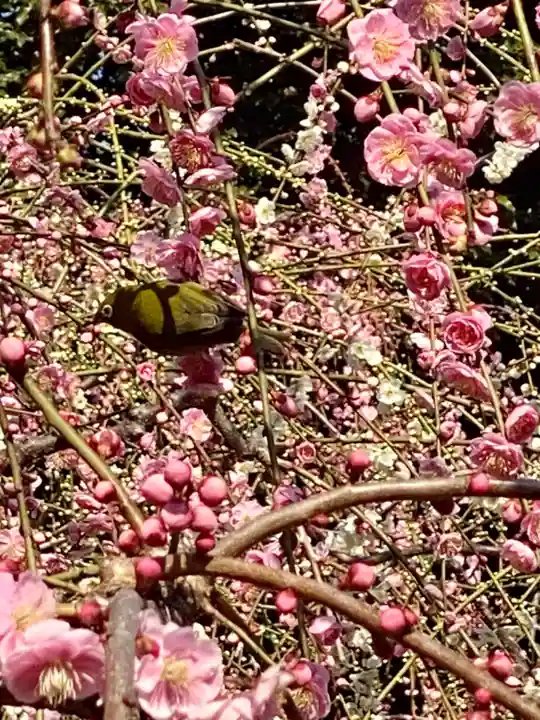城南宮(京都府)