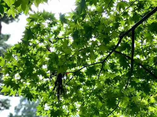 手長神社(長野県)