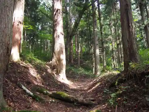 北山漆薬師の自然