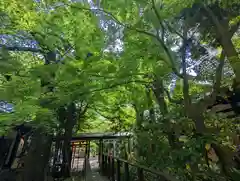 愛宕神社の自然