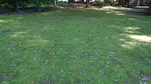 鹿島神宮の自然