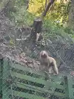 瀧安寺の{uncategorized: "未分類", other: "その他", undefined: "問題あり", building: "その他建物", grave: "お墓", sacred_gate: "鳥居", guardian: "狛犬", statue: "像", buddha: "仏像", history: "歴史", nature: "自然", garden: "庭園", animal: "動物", pagoda: "塔", temizu: "手水舎", mountain_gate: "山門・神門", sanctuary: "本殿・本堂", subordinate: "末社・摂社", art: "芸術", scenery: "景色", jizo: "地蔵", ema: "絵馬", goshuin: "御朱印", omikuji: "おみくじ", items: "授与品その他", amulet: "お守り", goshuincho: "御朱印帳", eats: "食事", festival: "お祭り", votive_dance: "神楽", shichigosan: "七五三参", wedding: "結婚式", experience: "体験その他", initially: "初詣", around: "周辺", anti_infection: "感染症対策"}