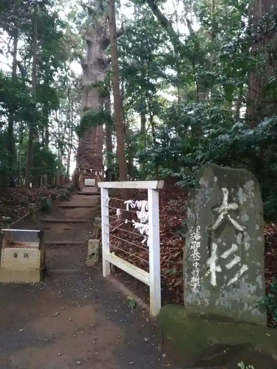 麻賀多神社の{uncategorized: "未分類", other: "その他", undefined: "問題あり", building: "その他建物", grave: "お墓", sacred_gate: "鳥居", guardian: "狛犬", statue: "像", buddha: "仏像", history: "歴史", nature: "自然", garden: "庭園", animal: "動物", pagoda: "塔", temizu: "手水舎", mountain_gate: "山門・神門", sanctuary: "本殿・本堂", subordinate: "末社・摂社", art: "芸術", scenery: "景色", jizo: "地蔵", ema: "絵馬", goshuin: "御朱印", omikuji: "おみくじ", items: "授与品その他", amulet: "お守り", goshuincho: "御朱印帳", eats: "食事", festival: "お祭り", votive_dance: "神楽", shichigosan: "七五三参", wedding: "結婚式", experience: "体験その他", initially: "初詣", around: "周辺", anti_infection: "感染症対策"}