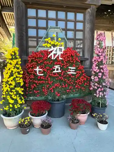 大洗磯前神社(茨城県)