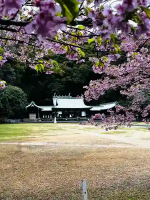 靜岡縣護國神社(静岡県)