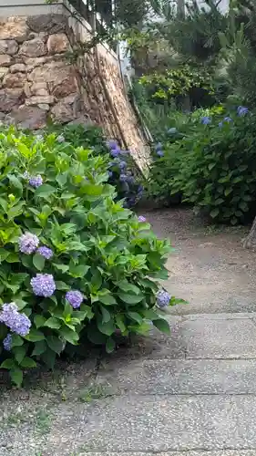柳谷観音　楊谷寺(京都府)