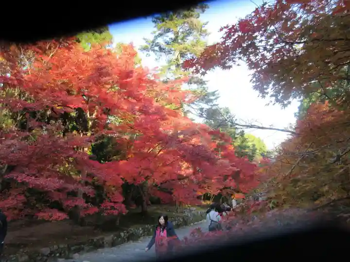 常寂光寺の自然