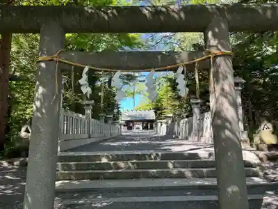 千歳神社の鳥居