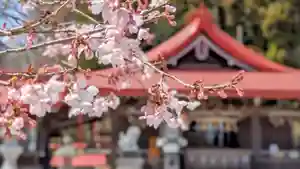金蛇水神社(宮城県)(2024年04月02日(火) 12時46分45秒投稿)