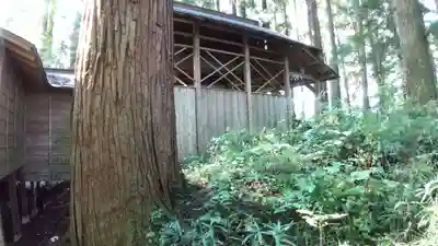 熊野三枝祇神社の本殿・本堂