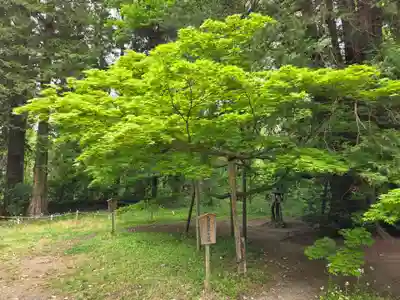 伊佐須美神社(福島県)