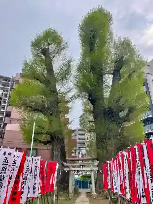 出世稲荷神社の{uncategorized: "未分類", other: "その他", undefined: "問題あり", building: "その他建物", grave: "お墓", sacred_gate: "鳥居", guardian: "狛犬", statue: "像", buddha: "仏像", history: "歴史", nature: "自然", garden: "庭園", animal: "動物", pagoda: "塔", temizu: "手水舎", mountain_gate: "山門・神門", sanctuary: "本殿・本堂", subordinate: "末社・摂社", art: "芸術", scenery: "景色", jizo: "地蔵", ema: "絵馬", goshuin: "御朱印", omikuji: "おみくじ", items: "授与品その他", amulet: "お守り", goshuincho: "御朱印帳", eats: "食事", festival: "お祭り", votive_dance: "神楽", shichigosan: "七五三参", wedding: "結婚式", experience: "体験その他", initially: "初詣", around: "周辺", anti_infection: "感染症対策"}