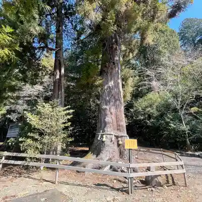 大舩神社（八百津町）(岐阜県)