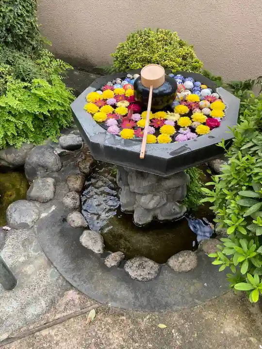 神楽坂安養寺(東京都)