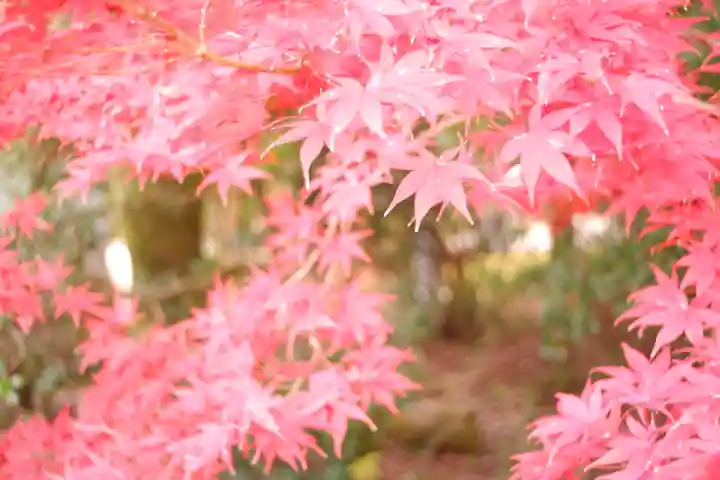 越中一宮 髙瀬神社(富山県)