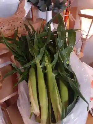伏木香取神社(茨城県)