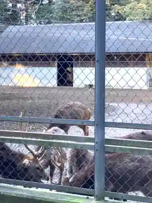 鹿島神宮(茨城県)