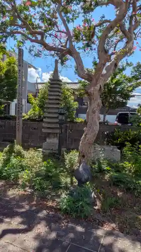 新福寺(滋賀県)