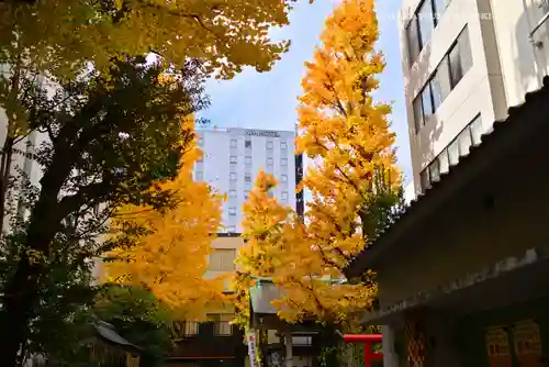 銀杏岡八幡神社(東京都)