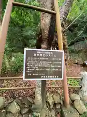 葛見神社の歴史