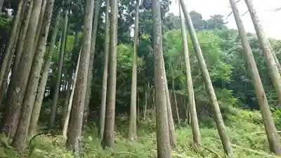 五十鈴神社の自然