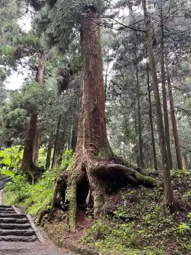 最乗寺（道了尊）(神奈川県)