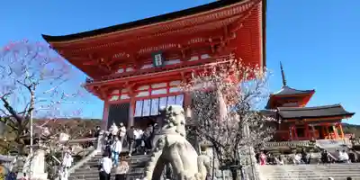 清水寺(京都府)