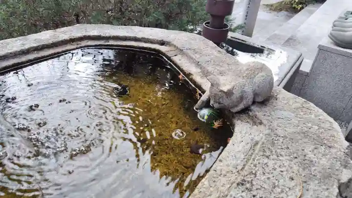 霊源院(京都府)